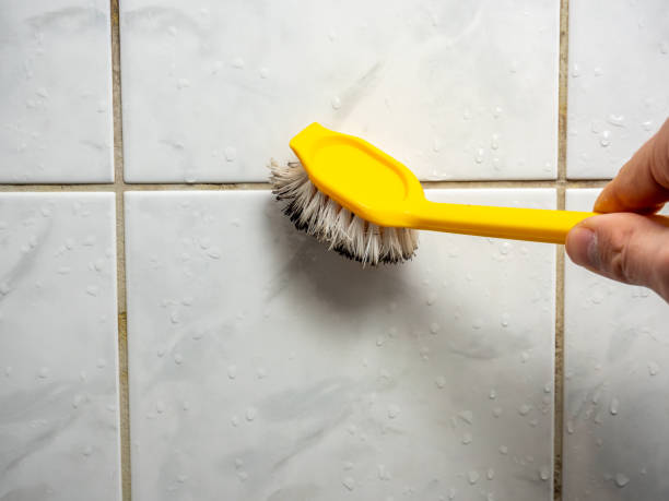 Best Mold Removal Company Near Me  in Dana, NC