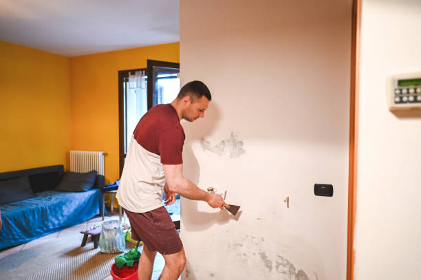 Best Local Mold Removal Service  in Dana, NC